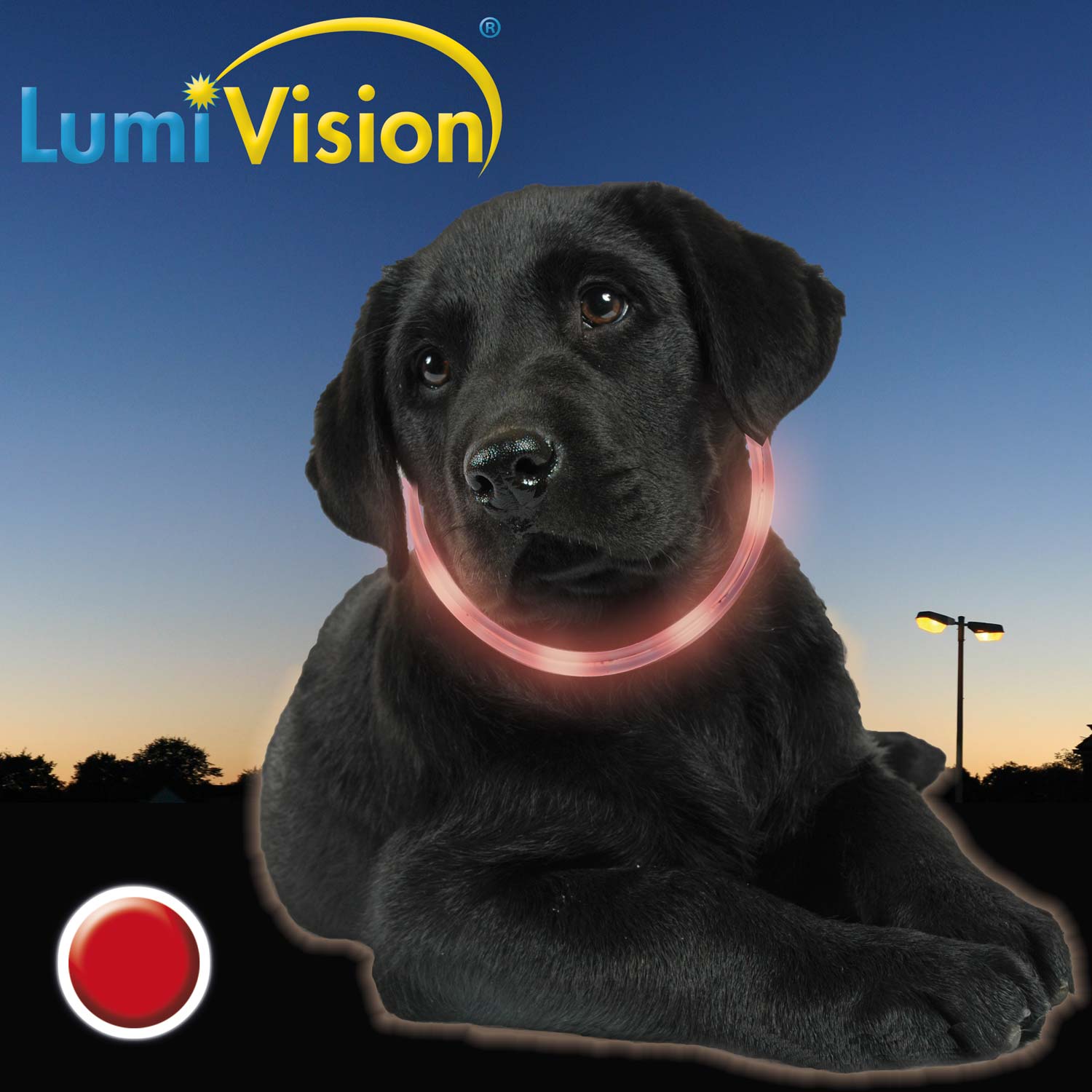 Lumivision  LumiVision AKKU Leuchthalsband mit roten LED